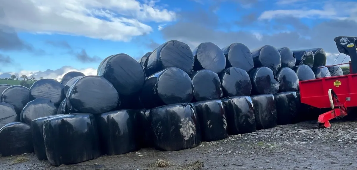 1000 Bales of Silage - Image 1