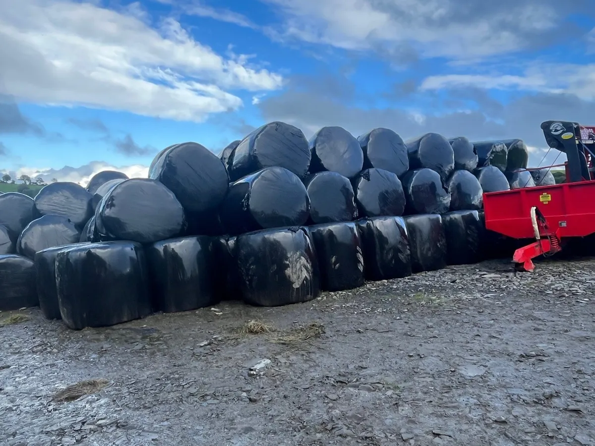 1000 Bales of Silage - Image 2