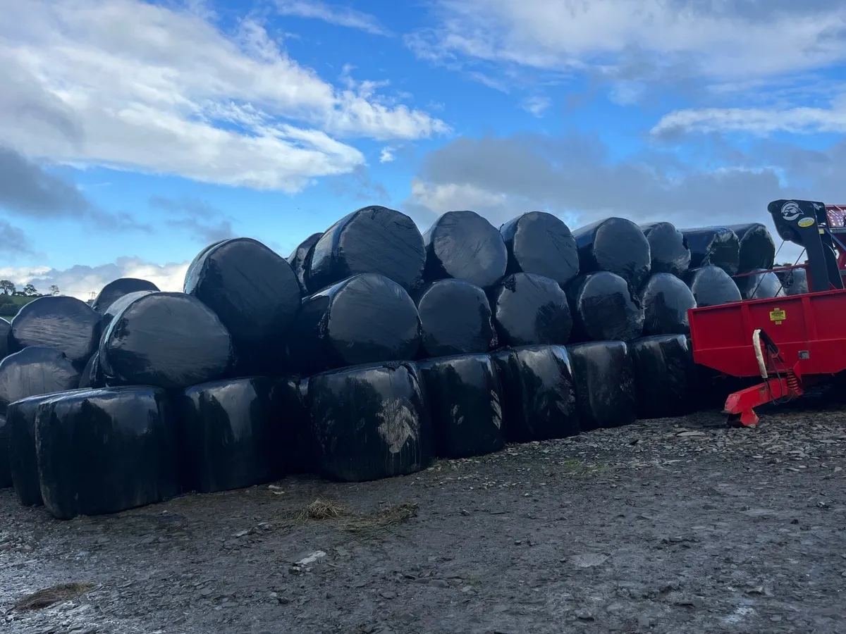 1000 Bales of Silage - Image 3