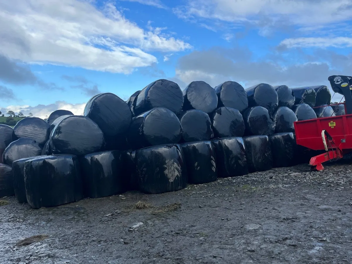 1000 Bales of Silage - Image 4