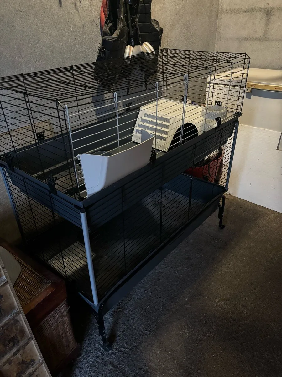 Rabbit Cage - Image 1