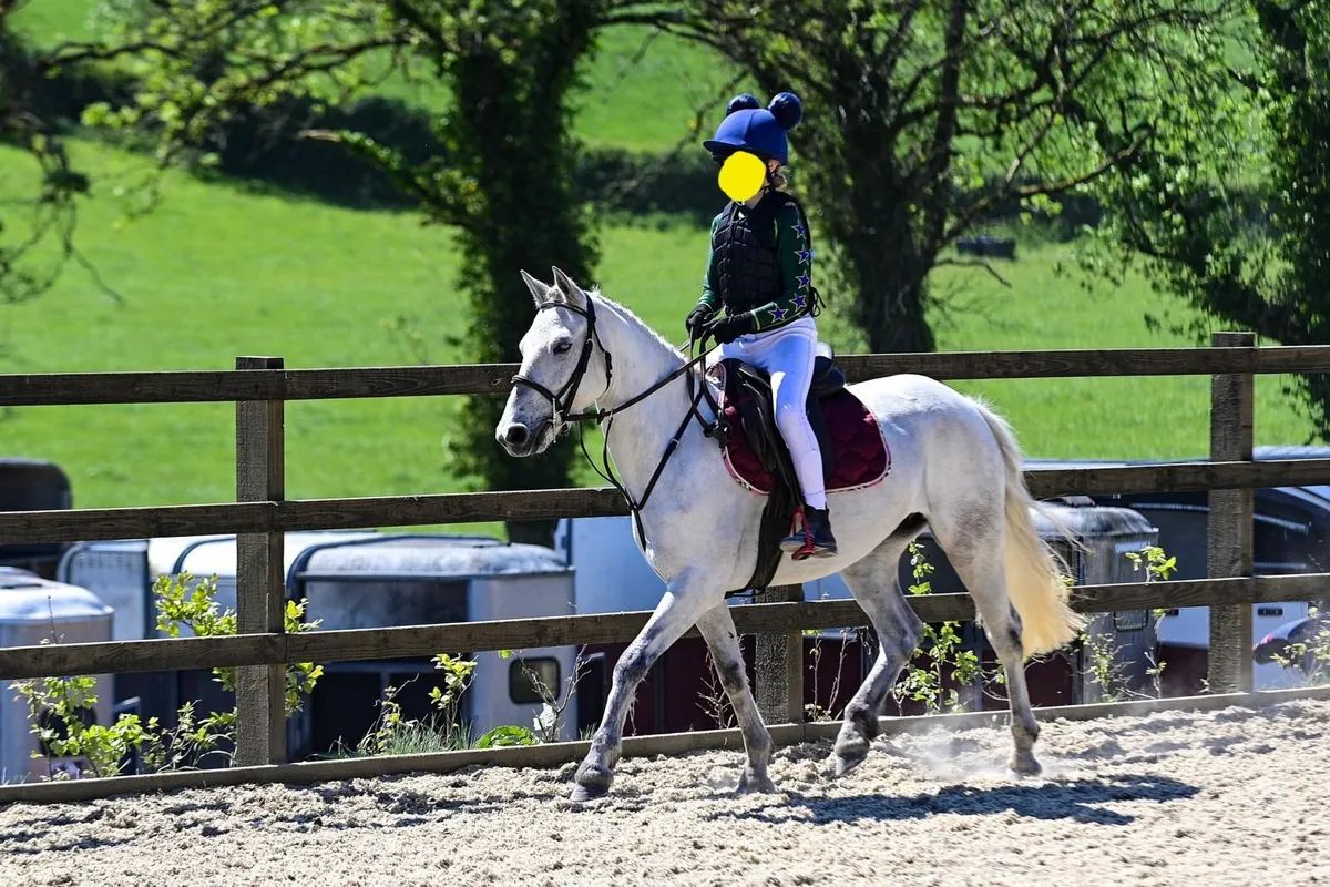 Roseann - Pony Club Dream - Image 3