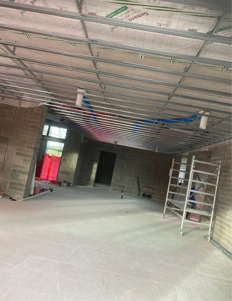 Suspended Ceilings / Mf ceiling - Image 2