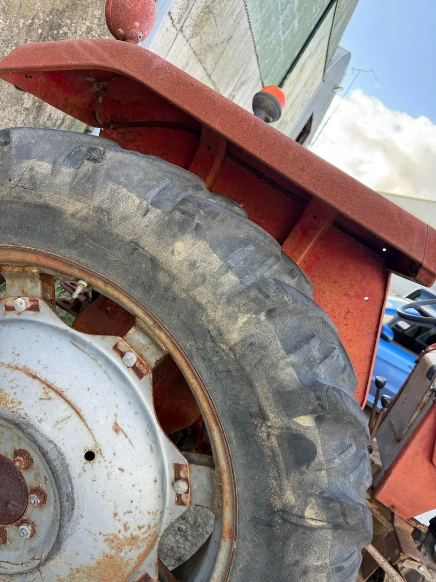 Massey 165 - Image 3