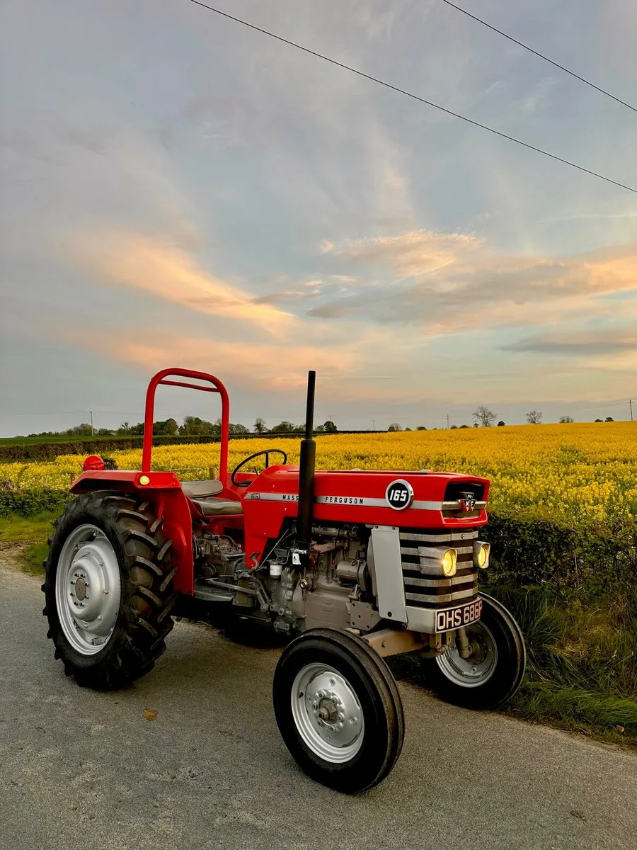 Massey ferguson 165
