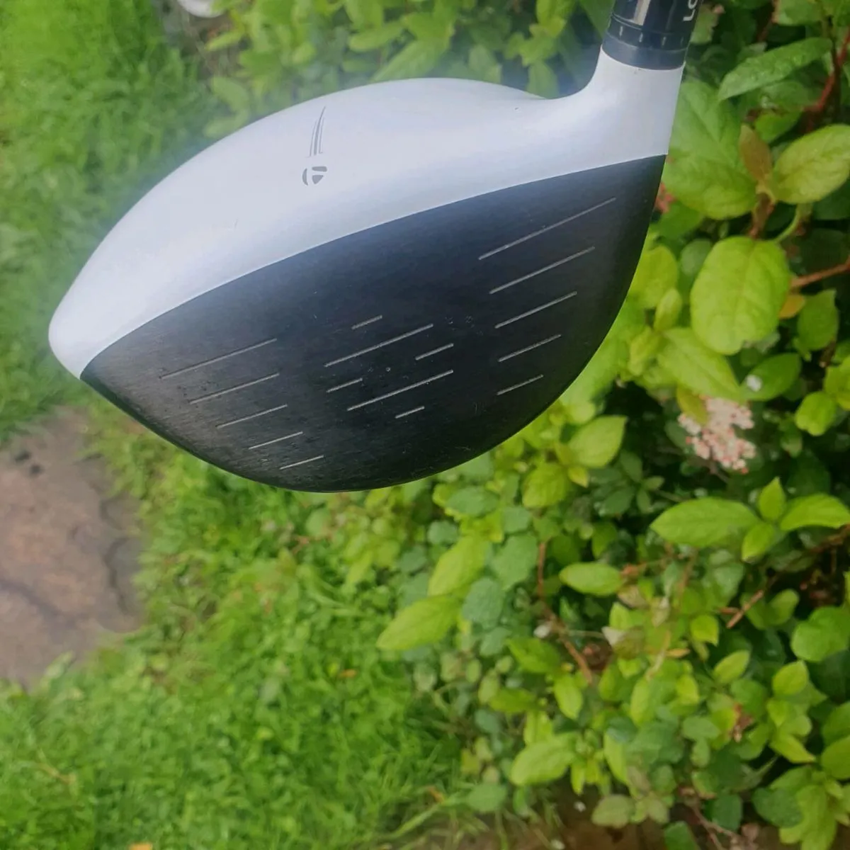Mint taylormade r15 tp driver - Image 4