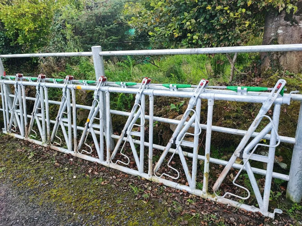 Headlock & timber barrier - Image 1