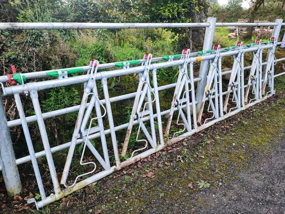 Headlock & timber barrier - Image 2
