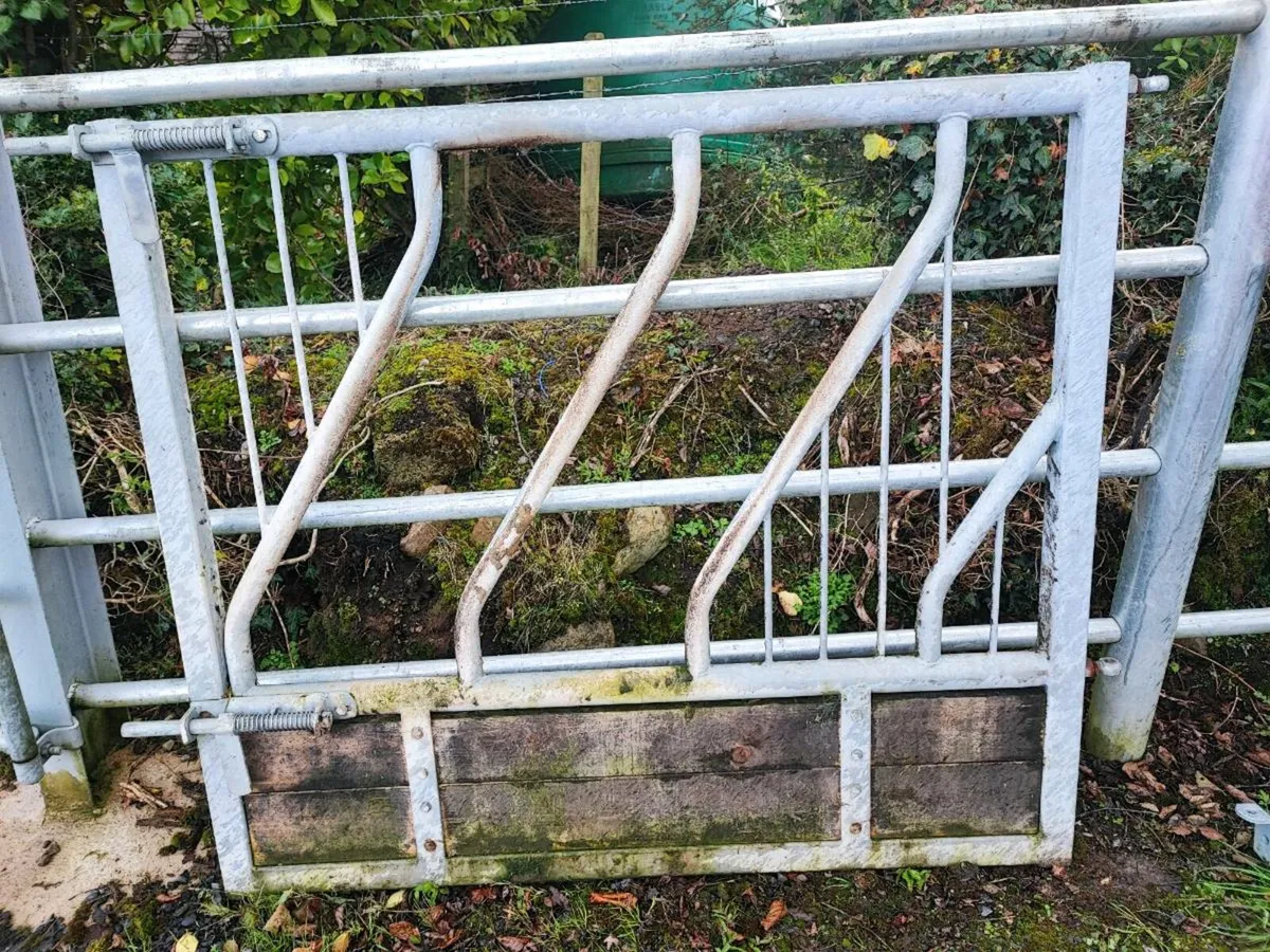Headlock & timber barrier - Image 3