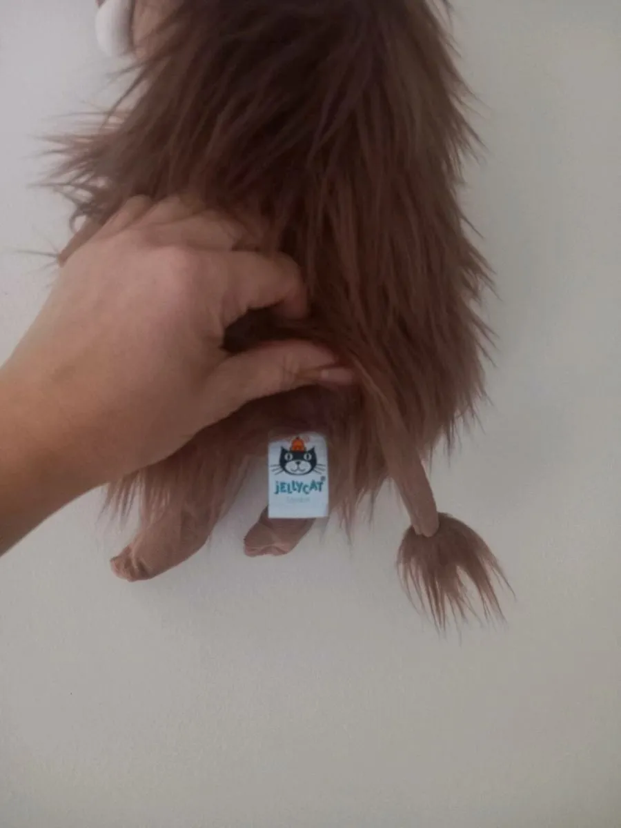 Jelly cat - Image 2
