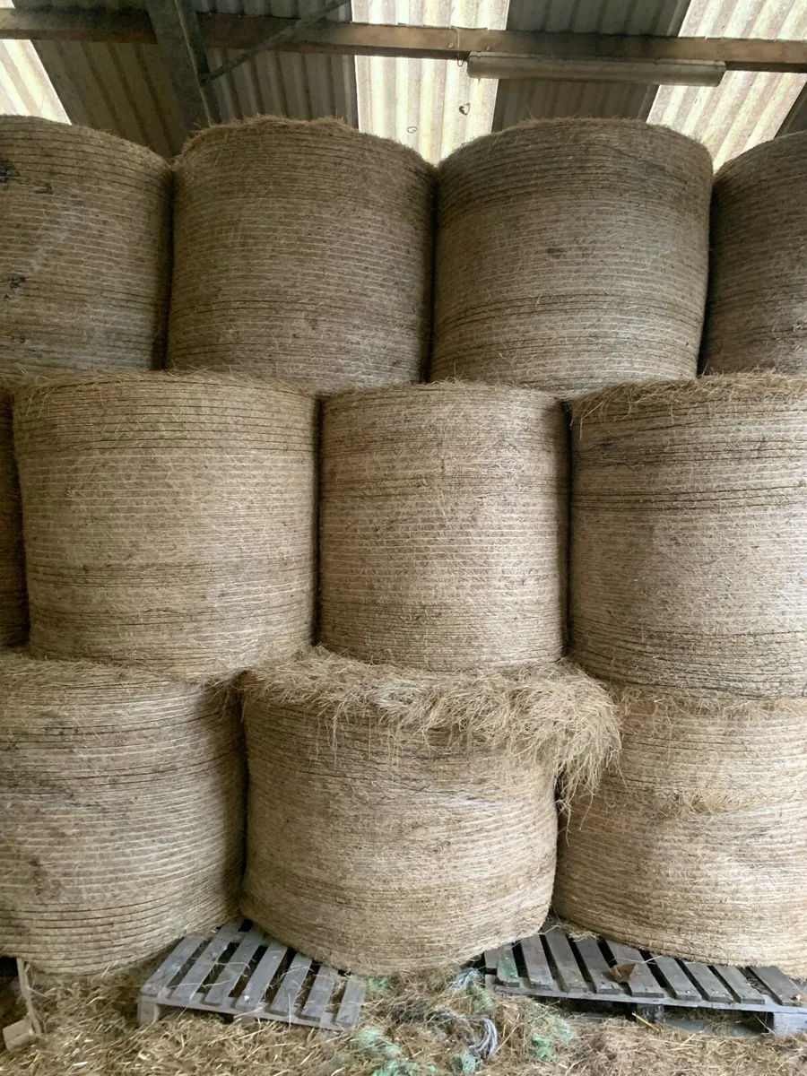 Hay and haylage for sale - Image 2