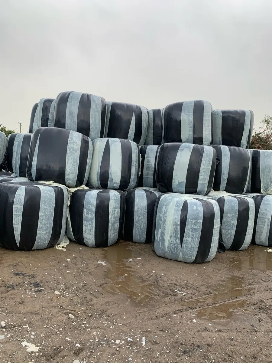 Hay and haylage for sale - Image 3
