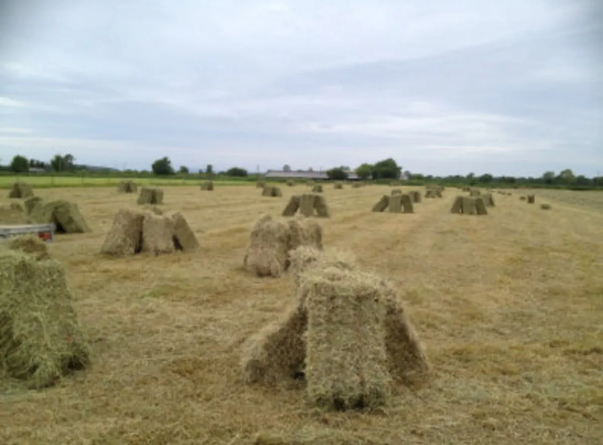 Hay and haylage for sale - Image 4