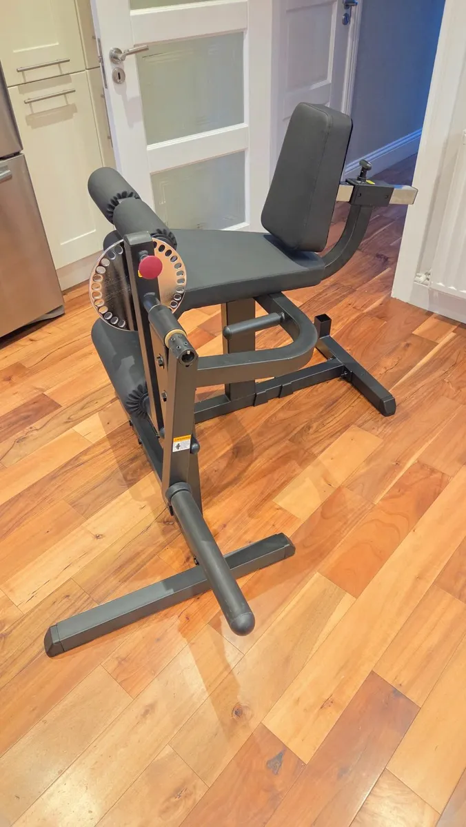 Leg extension and leg curl machine - Image 1