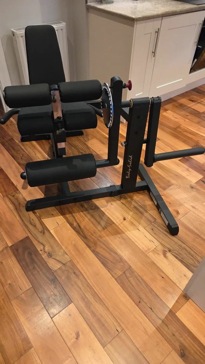 Leg extension and leg curl machine - Image 2