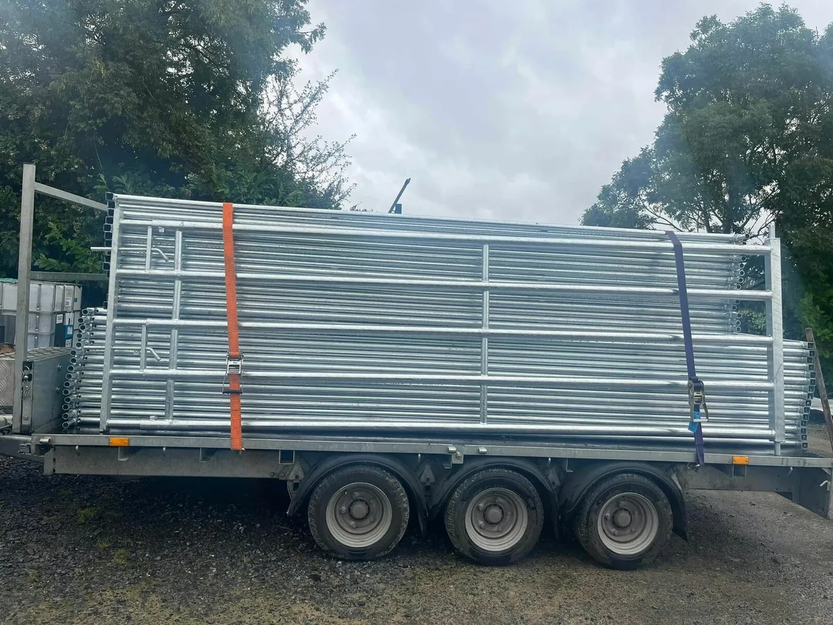 GALVANISED FEEDING BARRIERS & EXTENDABLE GATES - Image 3