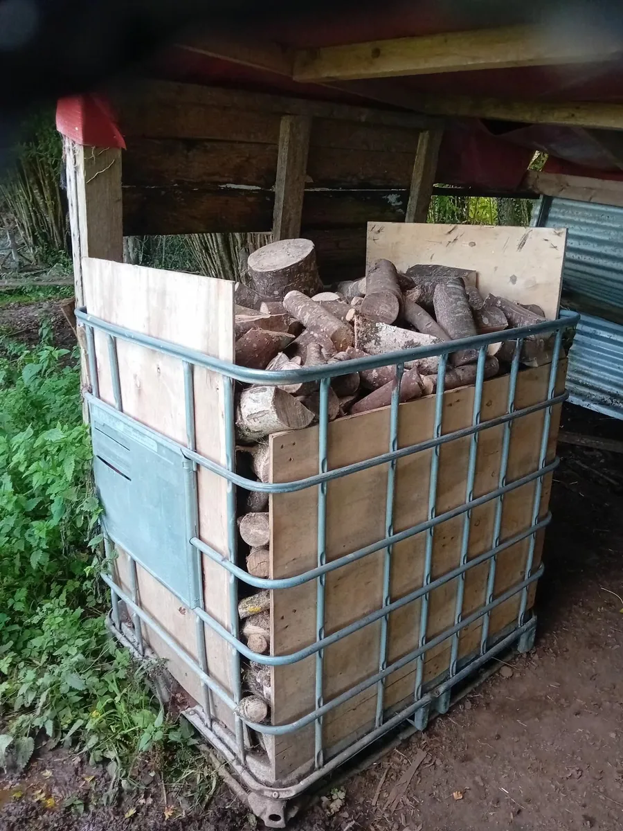 Wood - Image 3