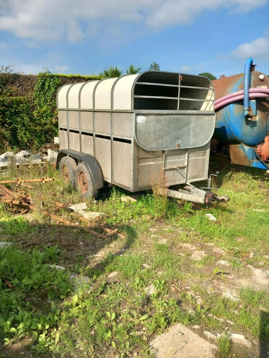 10x6 Cattle Trailer - Image 3
