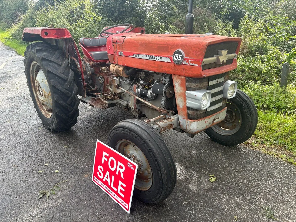 Massey Ferguson 135’s for sale Multipower MF - Image 2