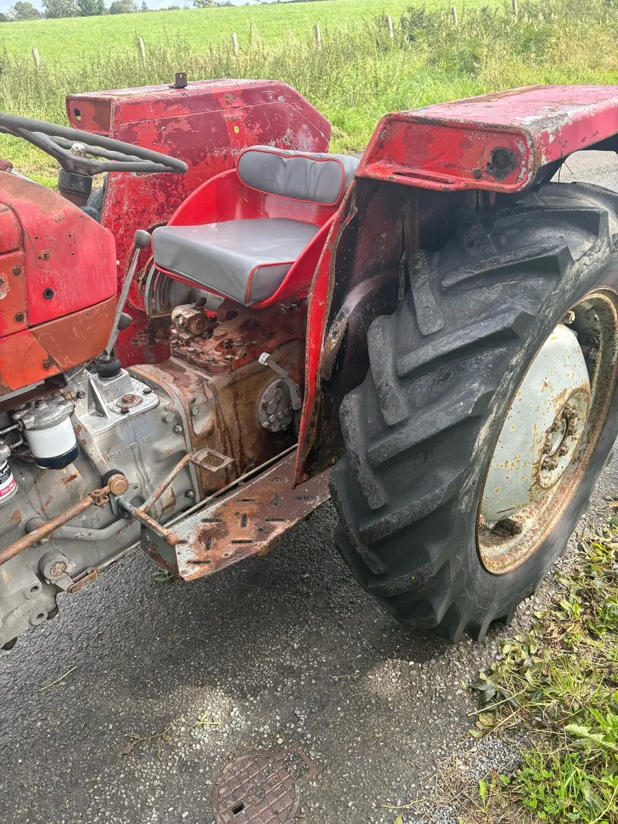 Massey Ferguson 135’s for sale Multipower MF - Image 3