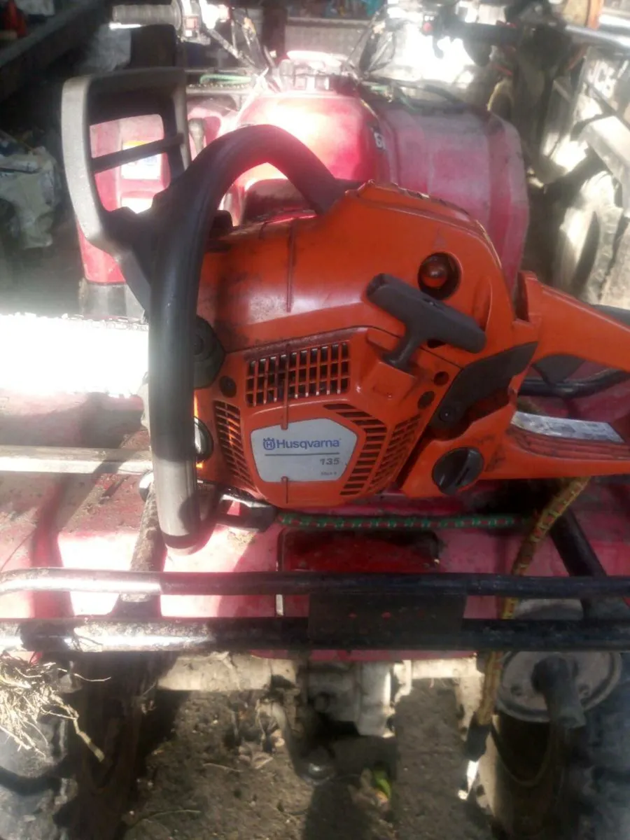 Chainsaw - Image 2