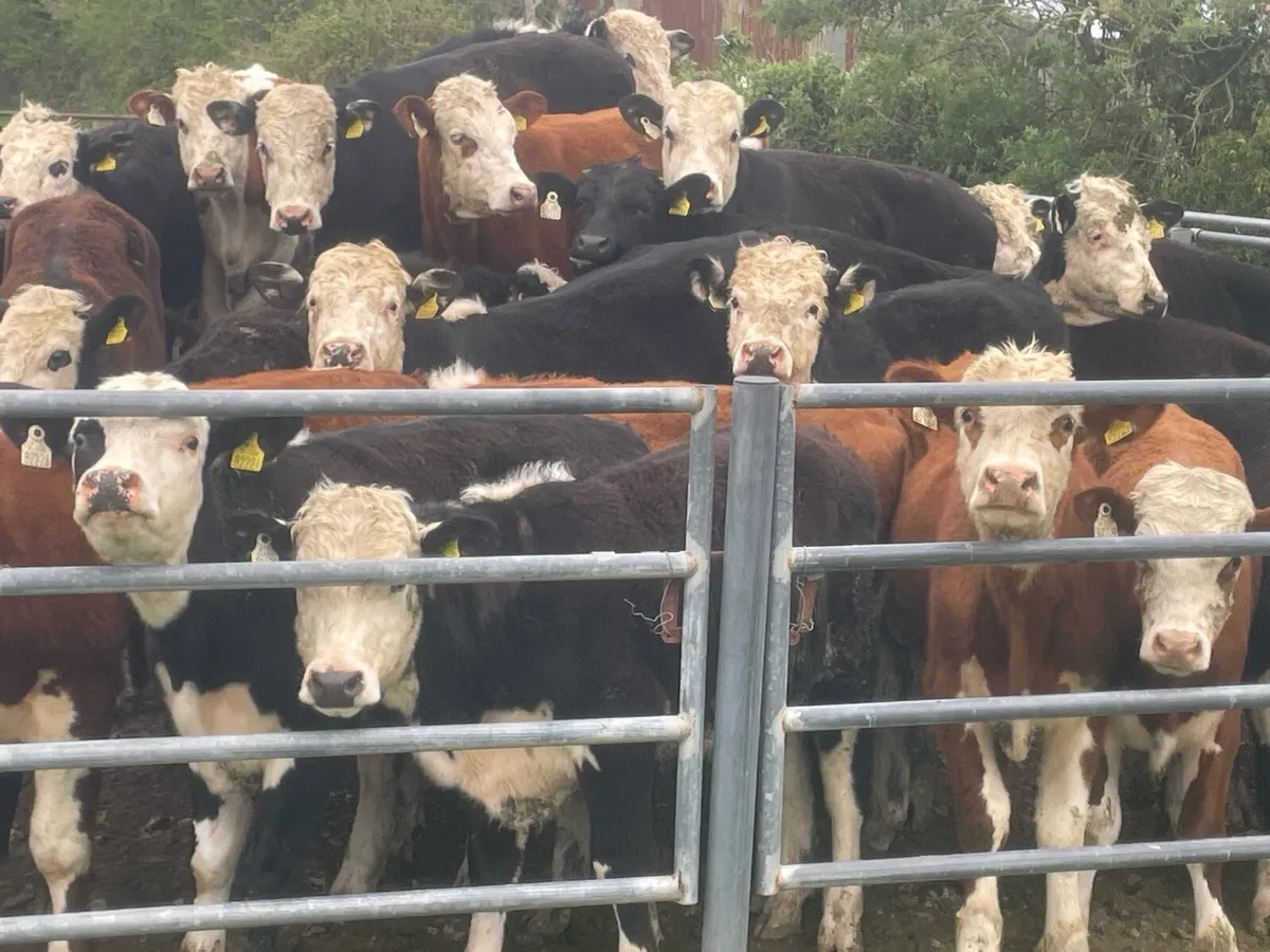 Farm worker required