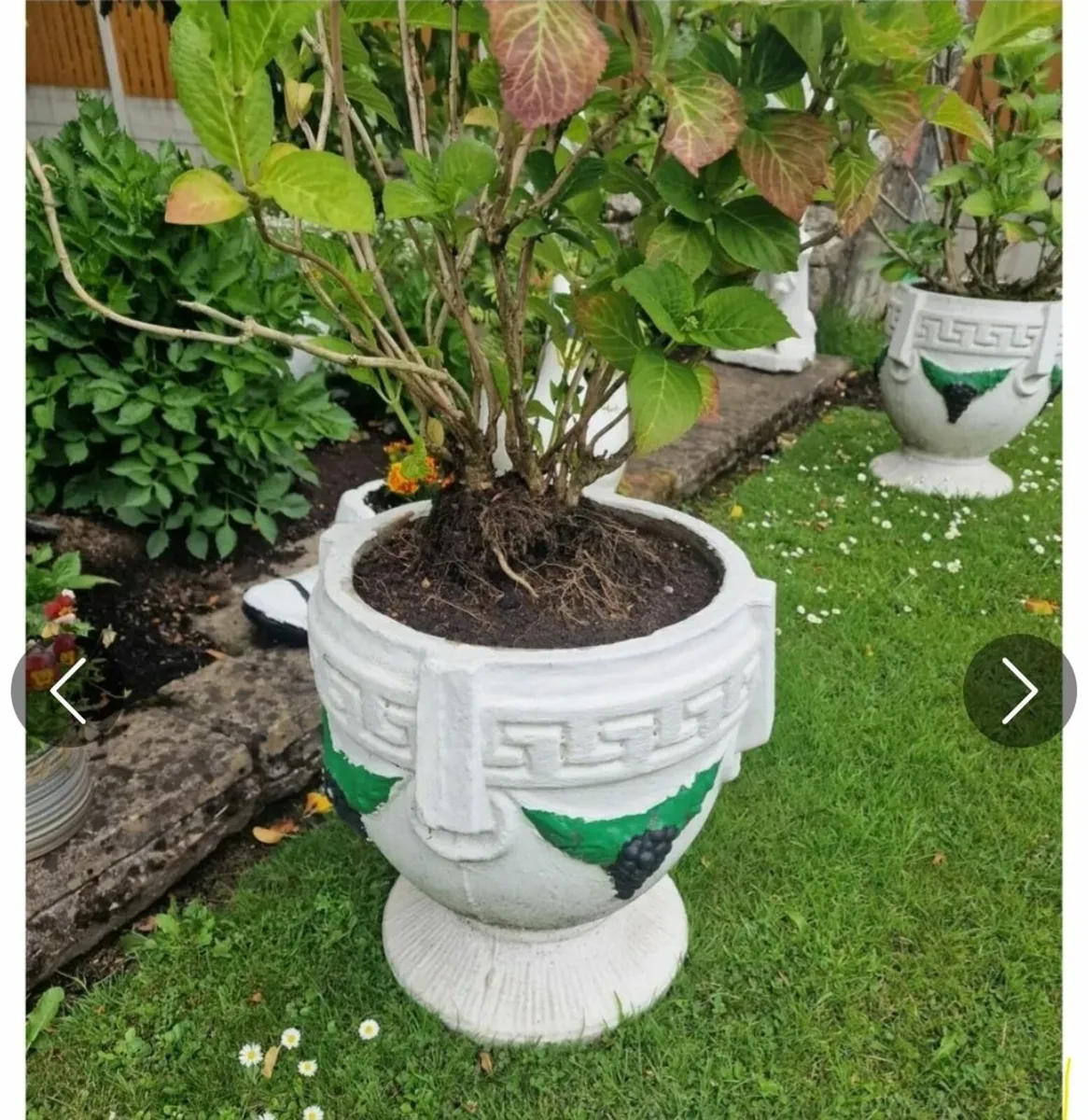 Planters - Image 2