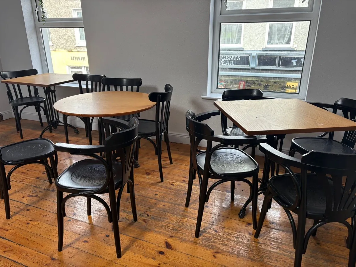 Café Contents - Image 2