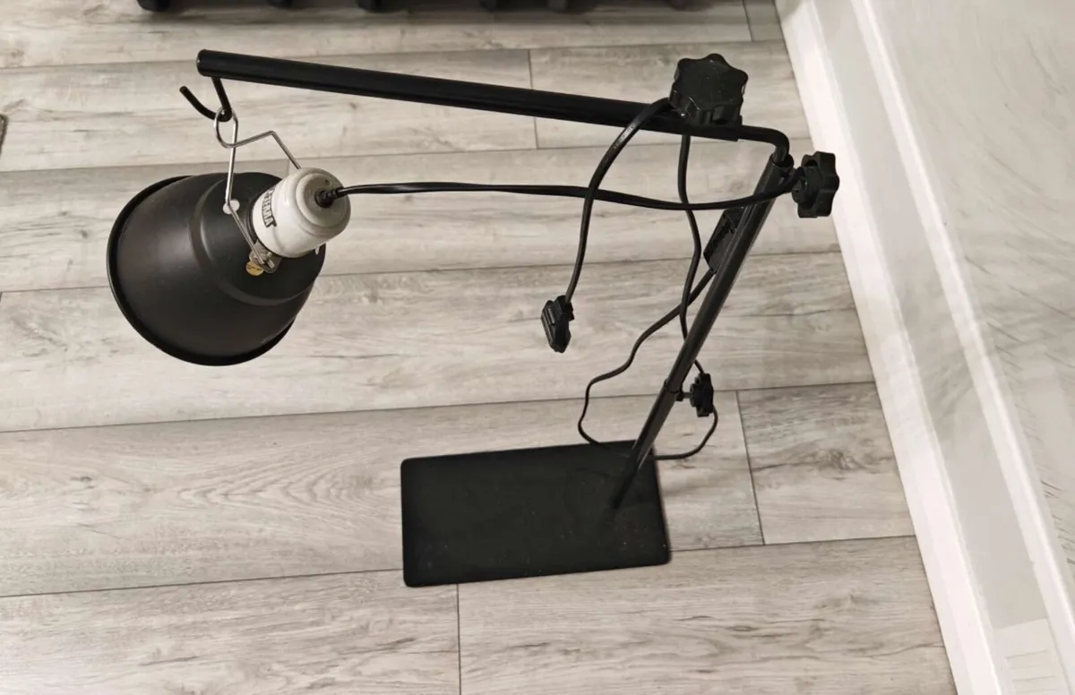 Turtle Tank with Heater & Lamp - Image 4