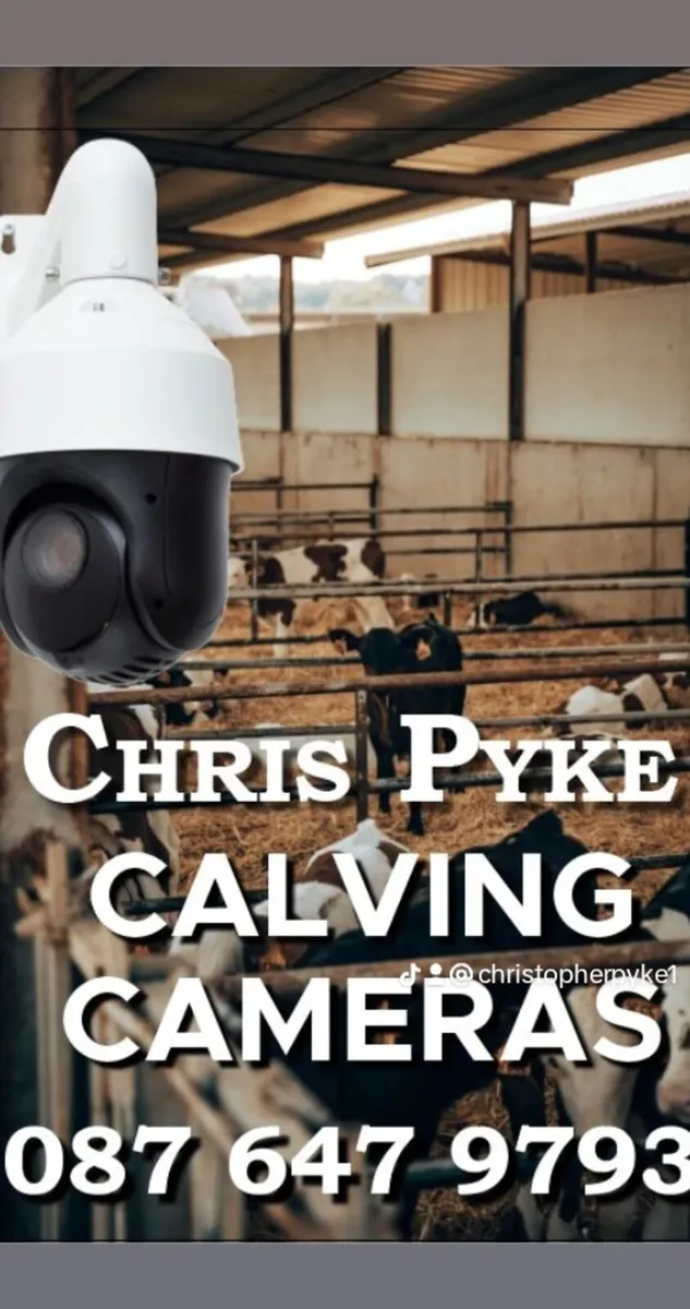 Calving cameras - Image 1