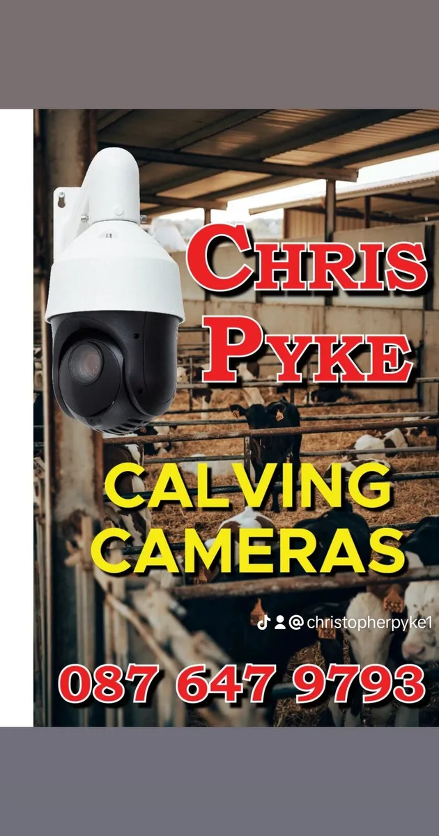 Calving cameras - Image 2