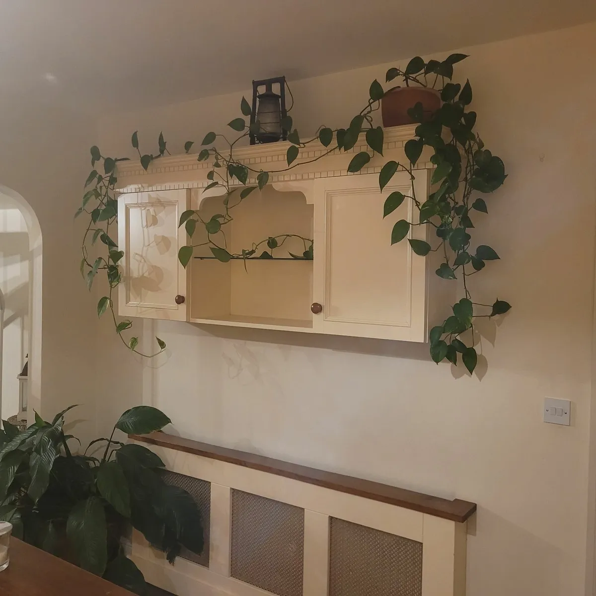 kitchen units - Image 2