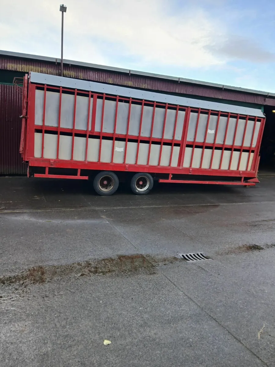 Livestock Trailer 25ft with fold up sheep decks - Image 1