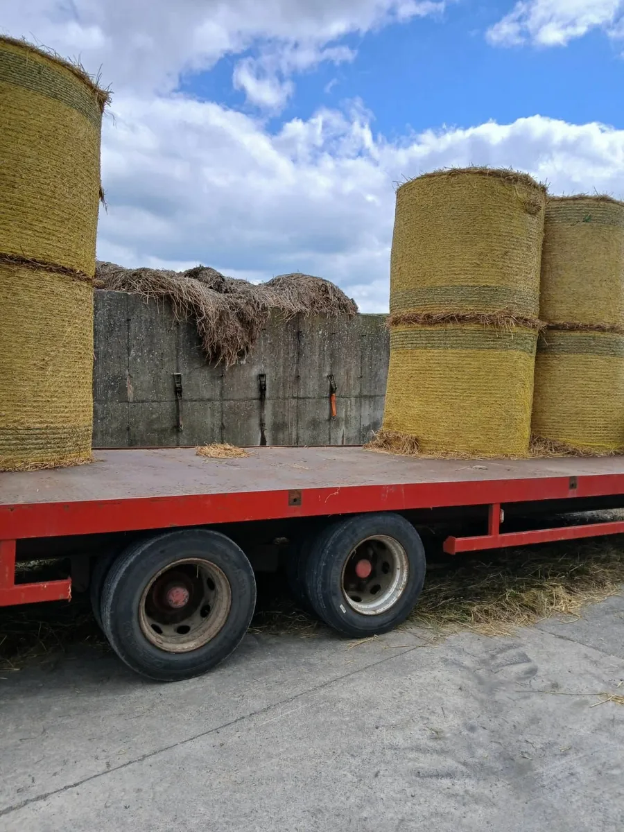 Livestock Trailer 25ft with fold up sheep decks - Image 4