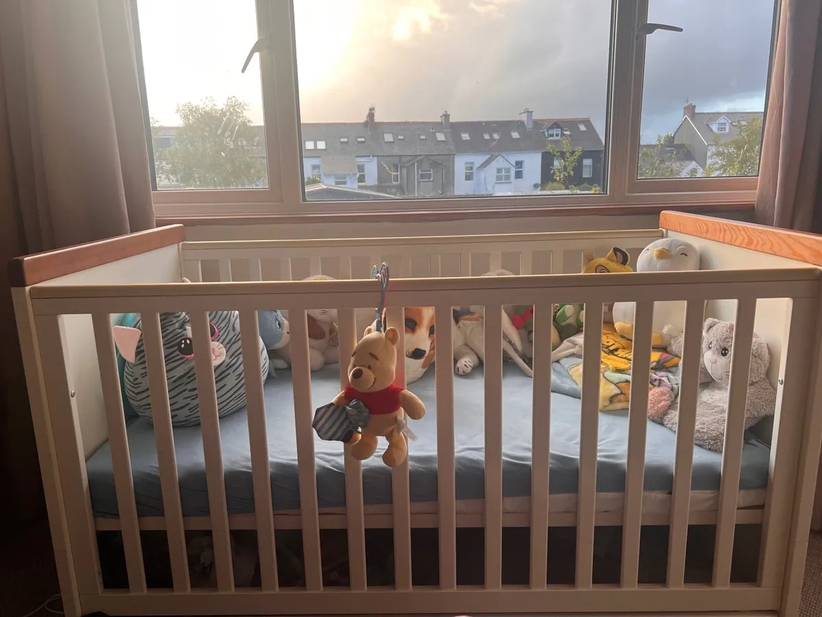 Cot - Image 1