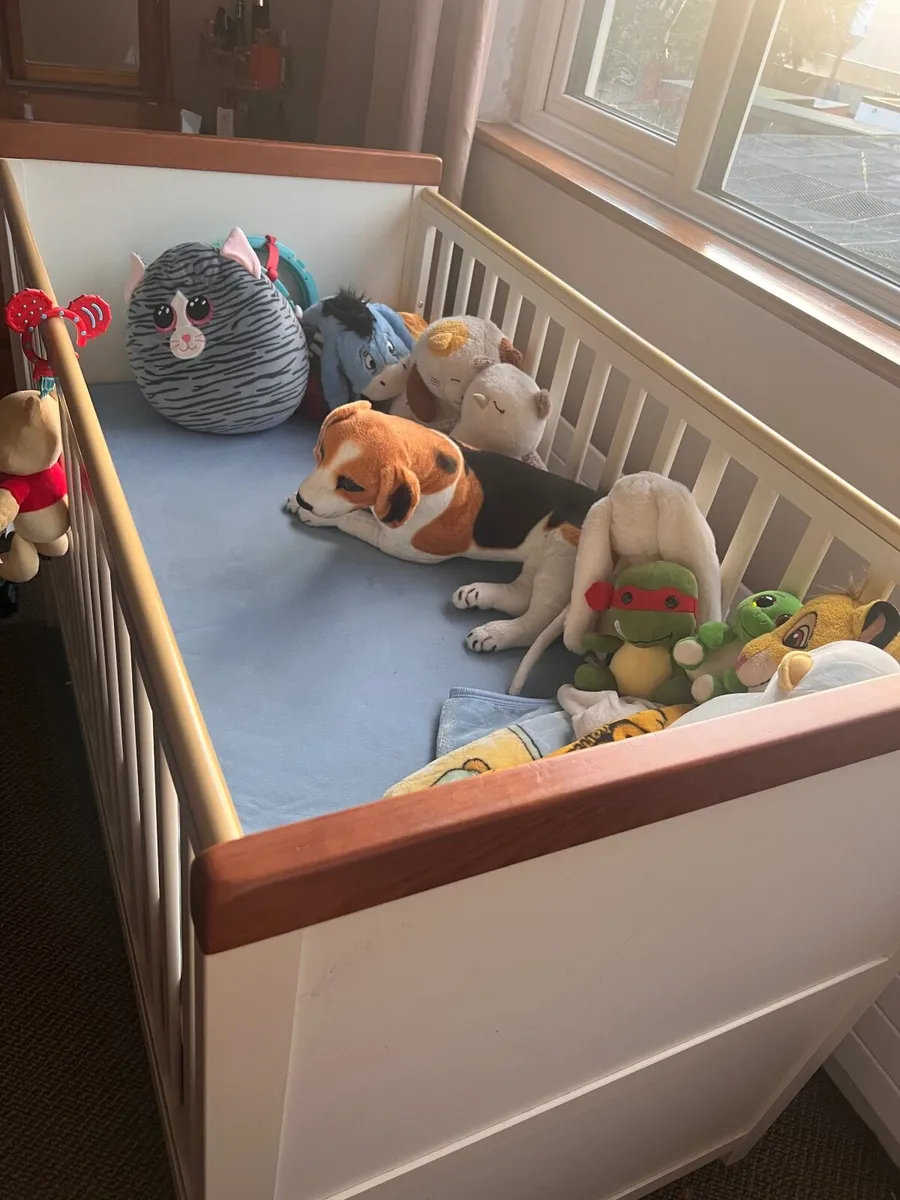 Cot - Image 2