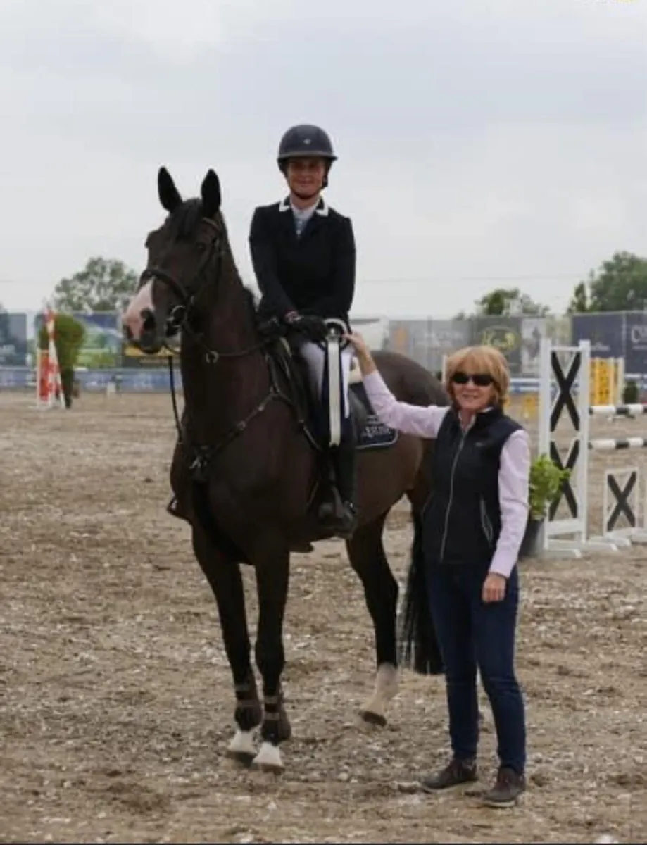 4 Year old Mare - Sligo Candy Boy x Padinus - Image 4