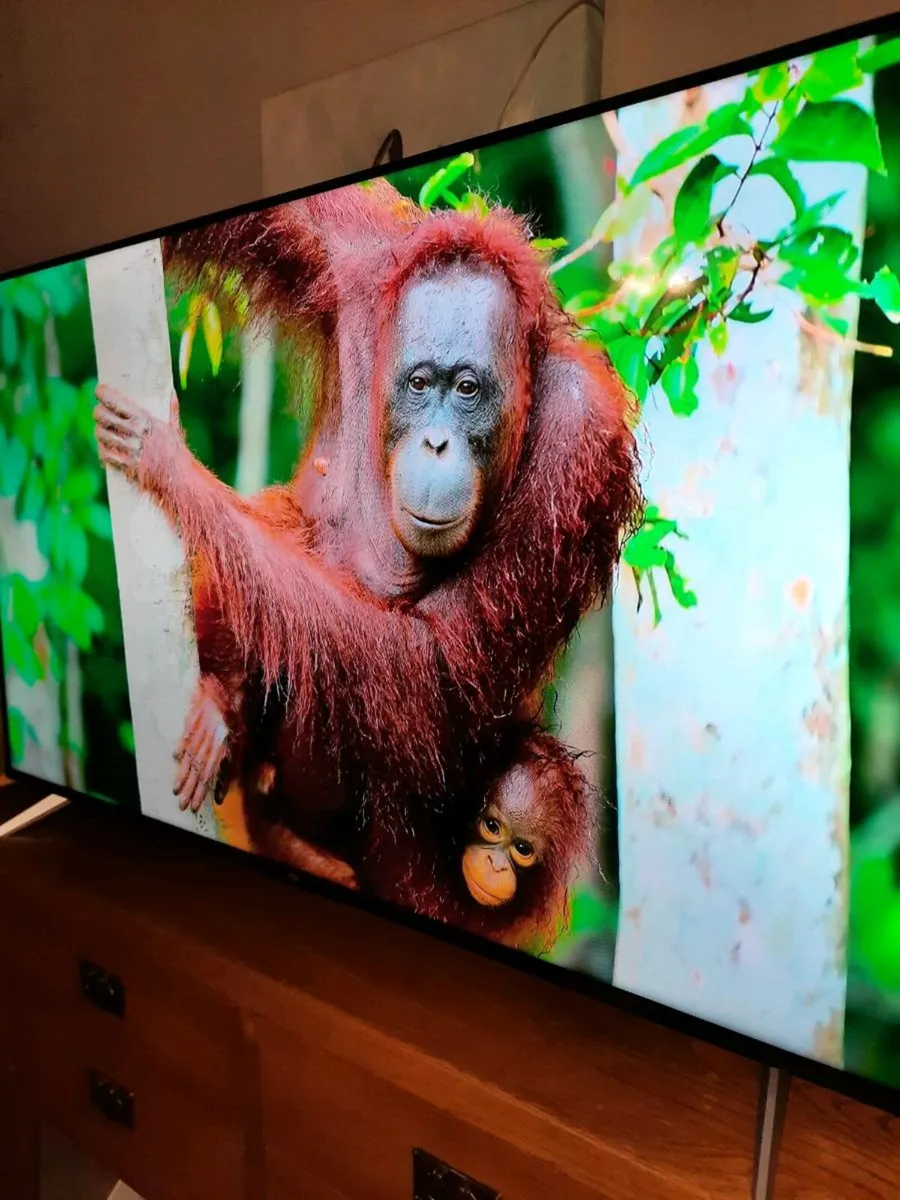 TCL 55 inch qled Tv - Image 1