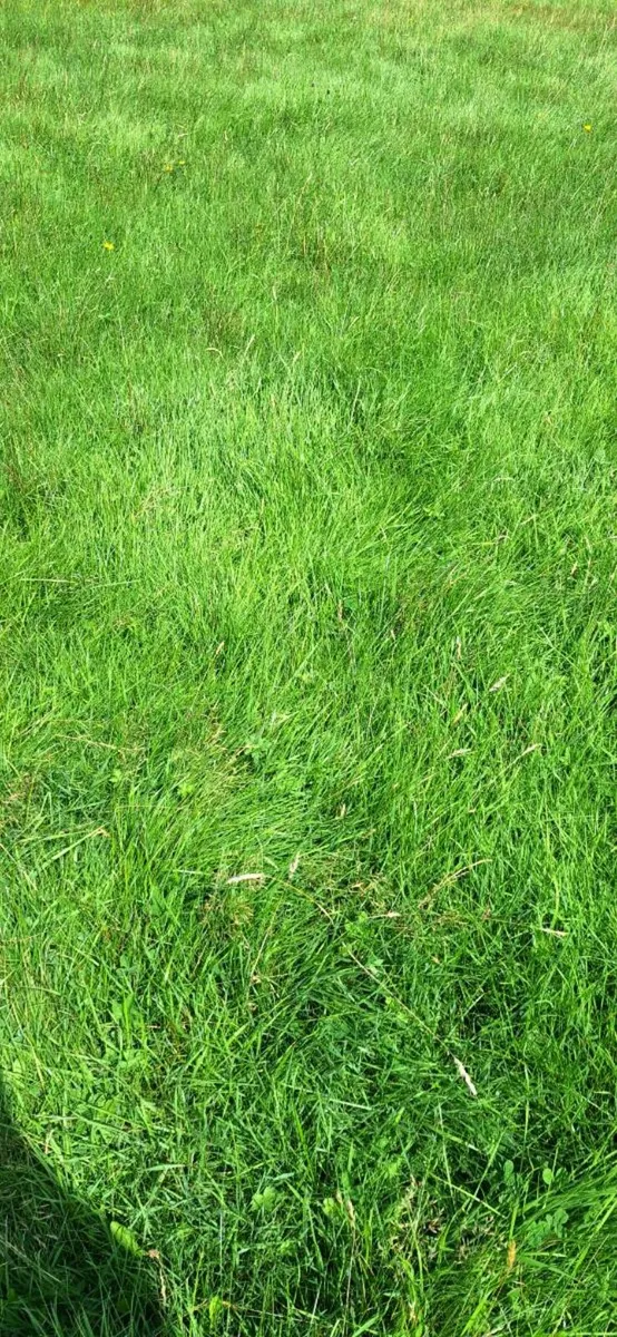 Tidy up land and get paid in the process - Image 1