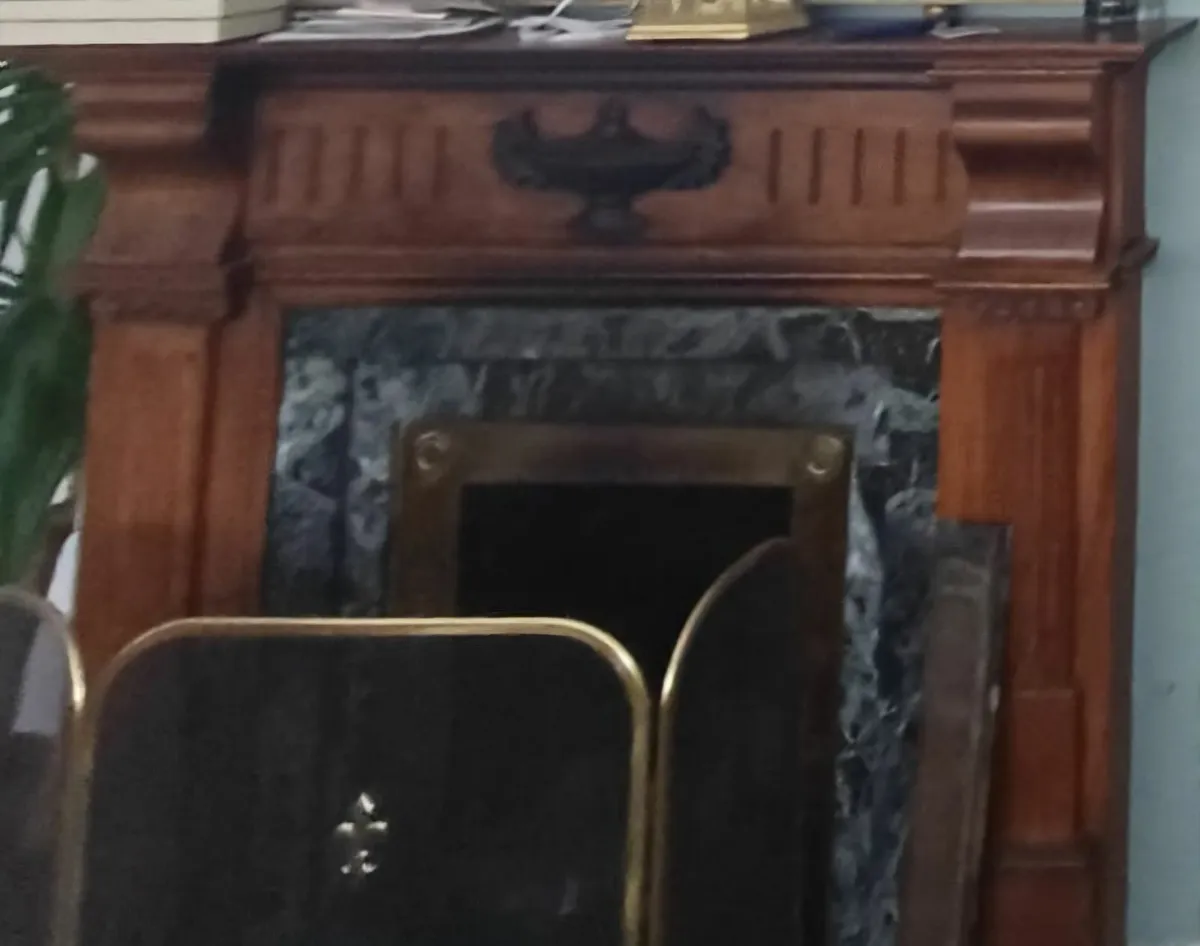 Fireplace - Connemara marble - Image 3
