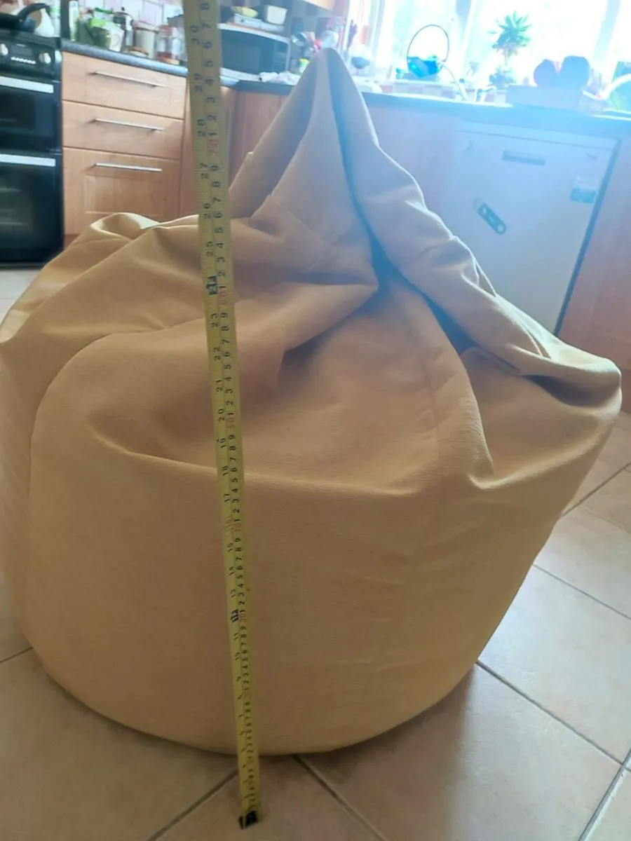 Large Bean Bag - Image 1