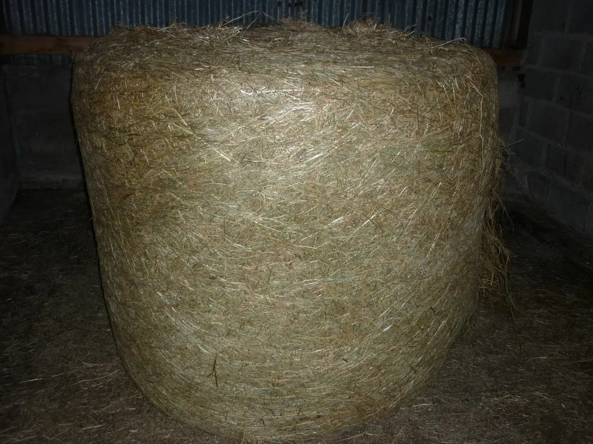 Silage - Image 1