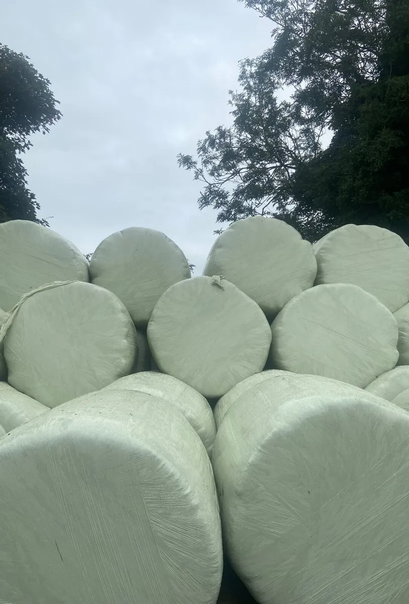 Silage round bales - Image 2