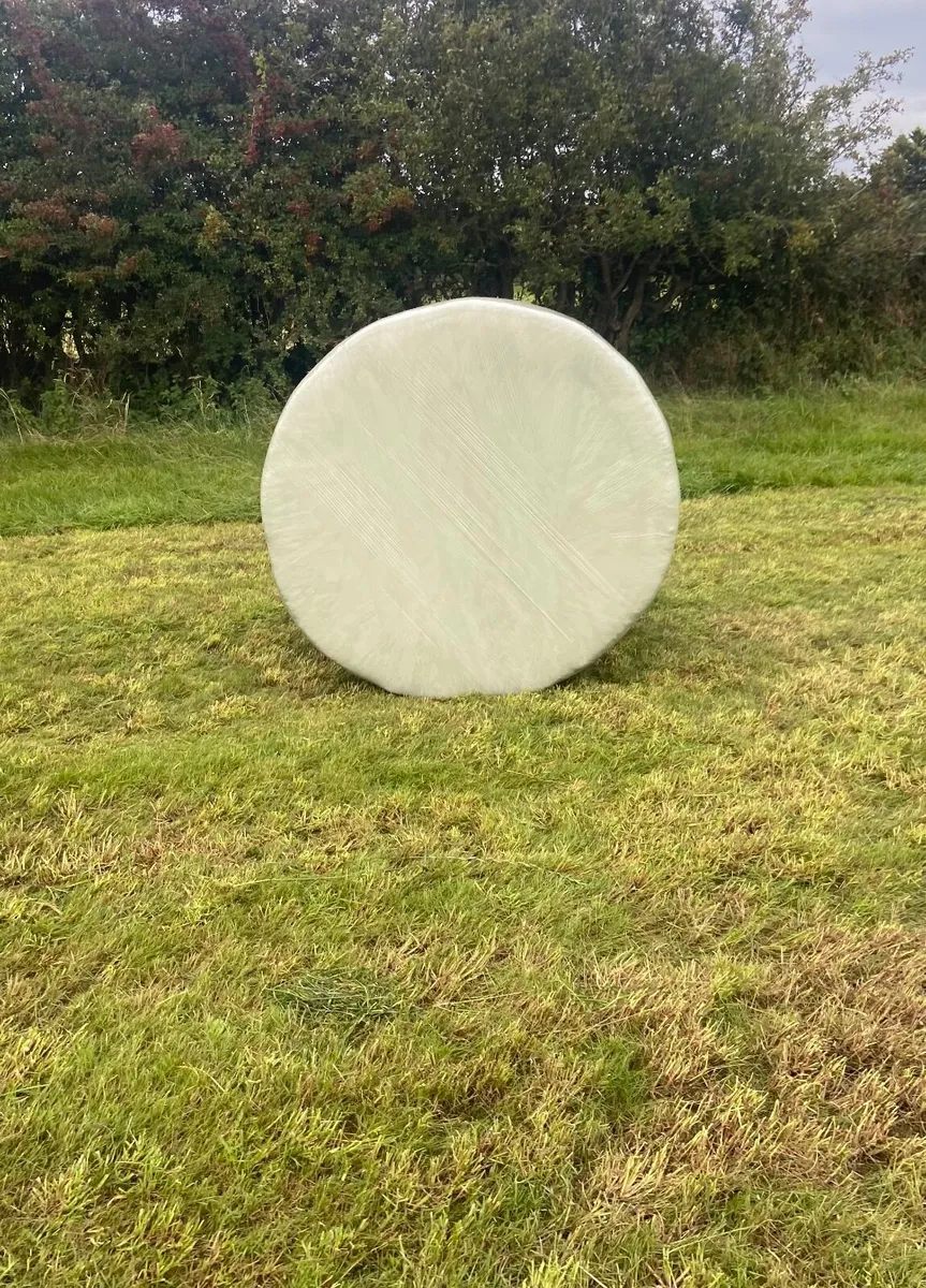 Silage round bales - Image 1