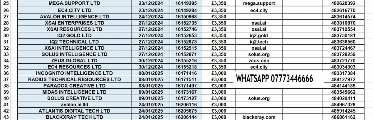 UK Ltd Co's valid VAT numbers,  Upto 15 yrs old - Image 2