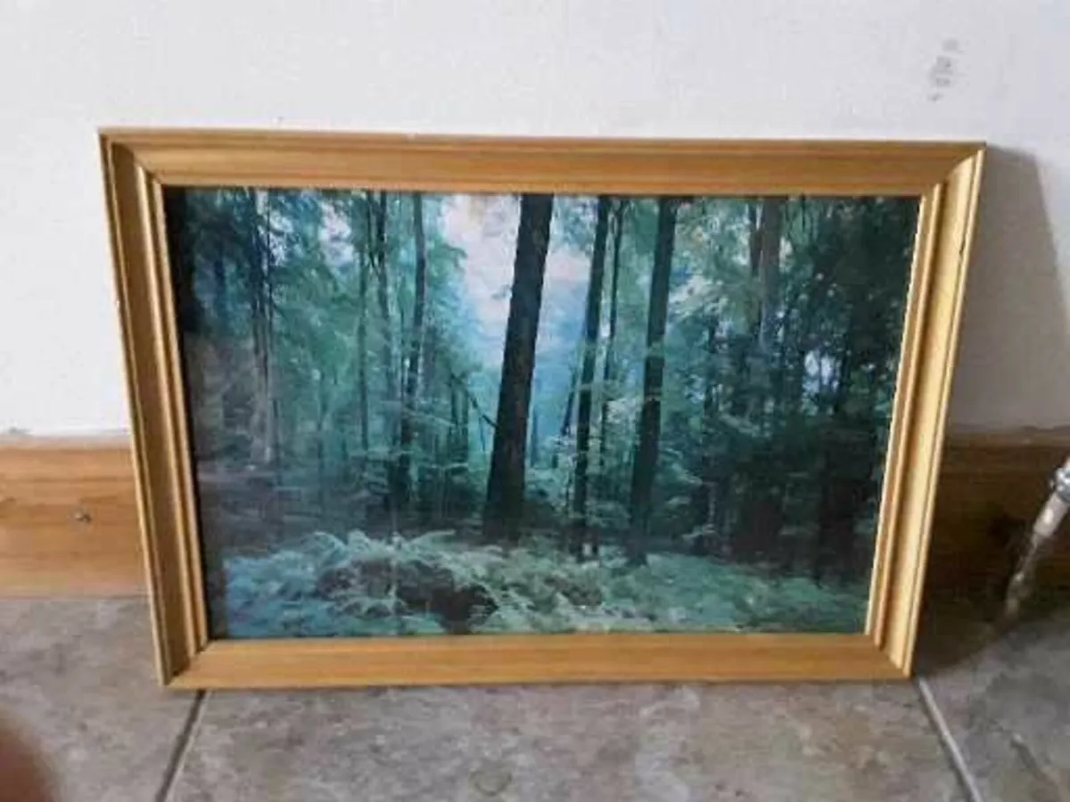 Lovely vibrant picture of a forest - Image 1