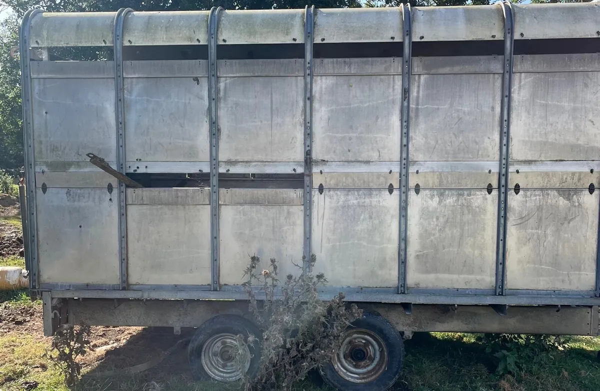 I For Williams Cattle Trailer - Image 2