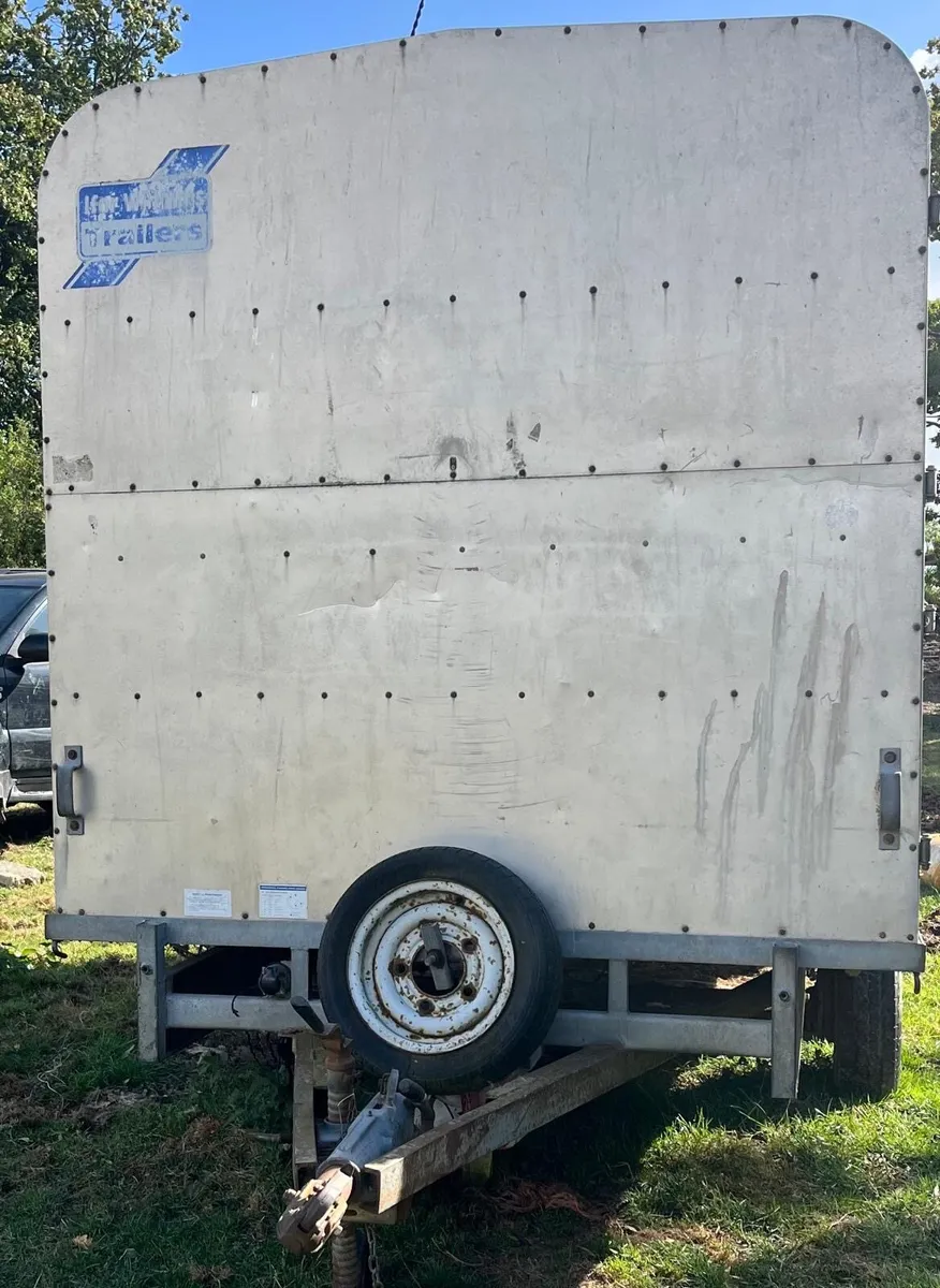 I For Williams Cattle Trailer - Image 3