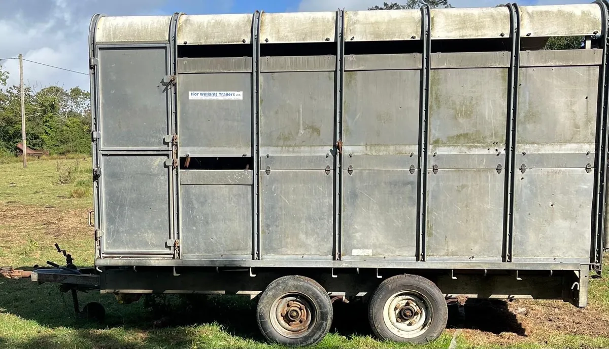 I For Williams Cattle Trailer - Image 4