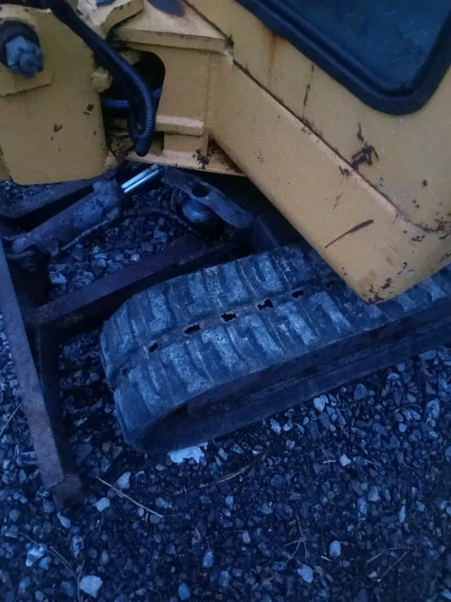 minidigger  and Hedge cutter for sale - Image 2